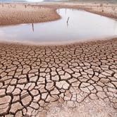 Drought Early Warning Information Systems: Towards A New Generation Of ...